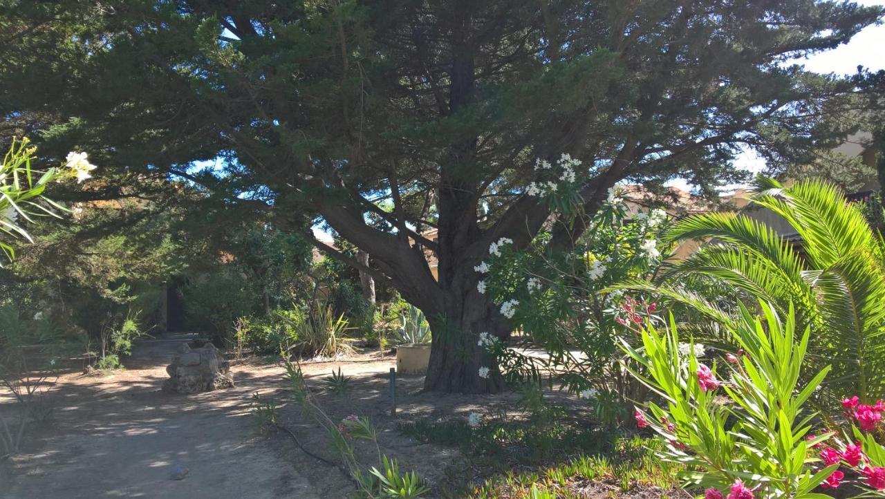 Appartement 6 pers au bord de la méditerranée Leucate Exterior foto
