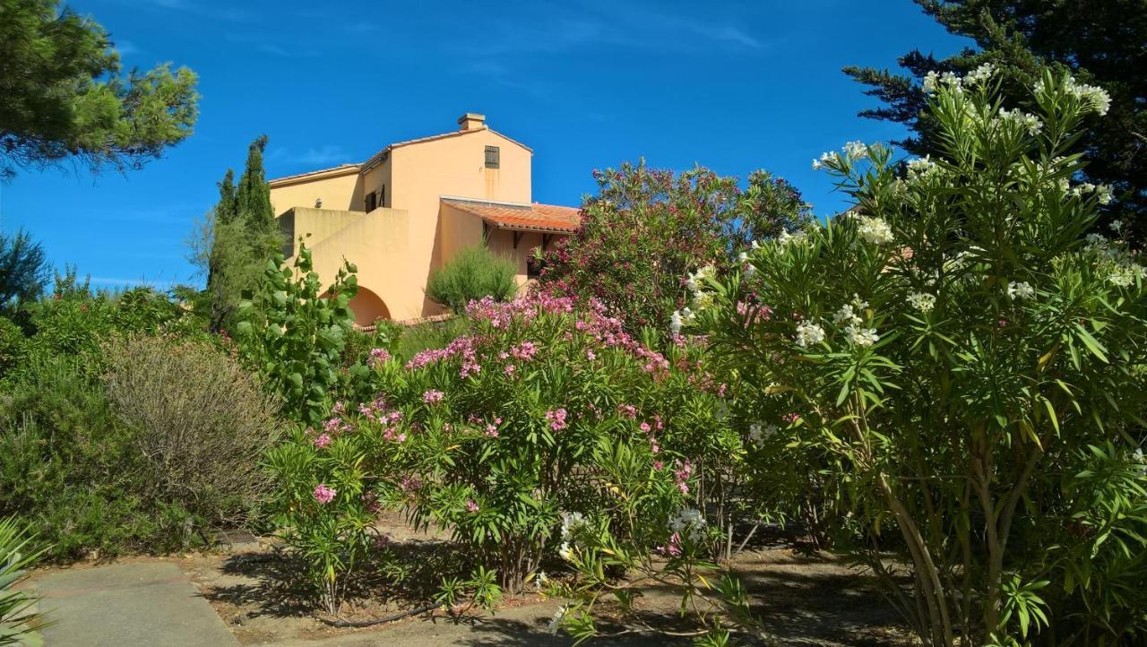 Appartement 6 pers au bord de la méditerranée Leucate Exterior foto