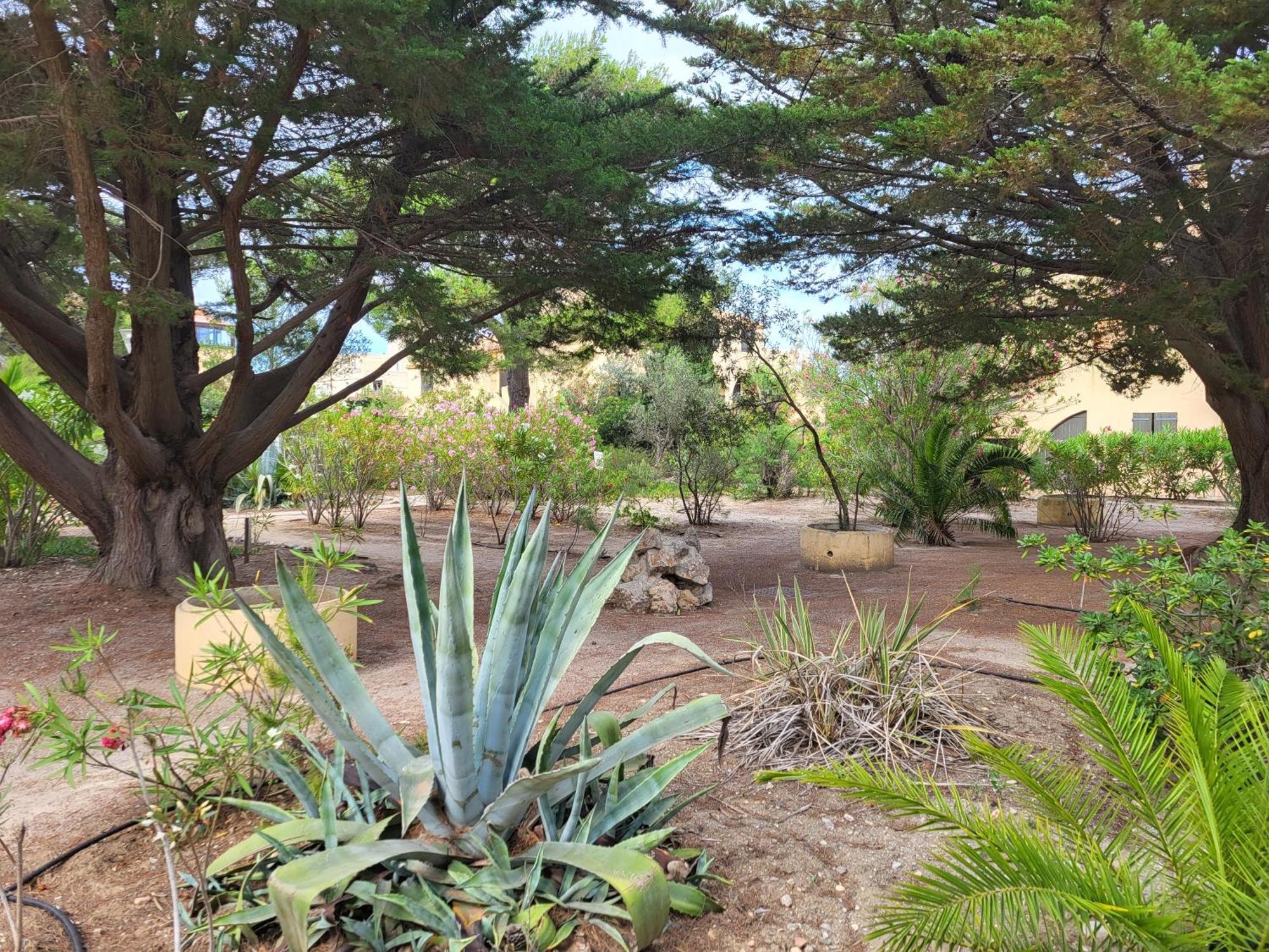 Appartement 6 pers au bord de la méditerranée Leucate Exterior foto