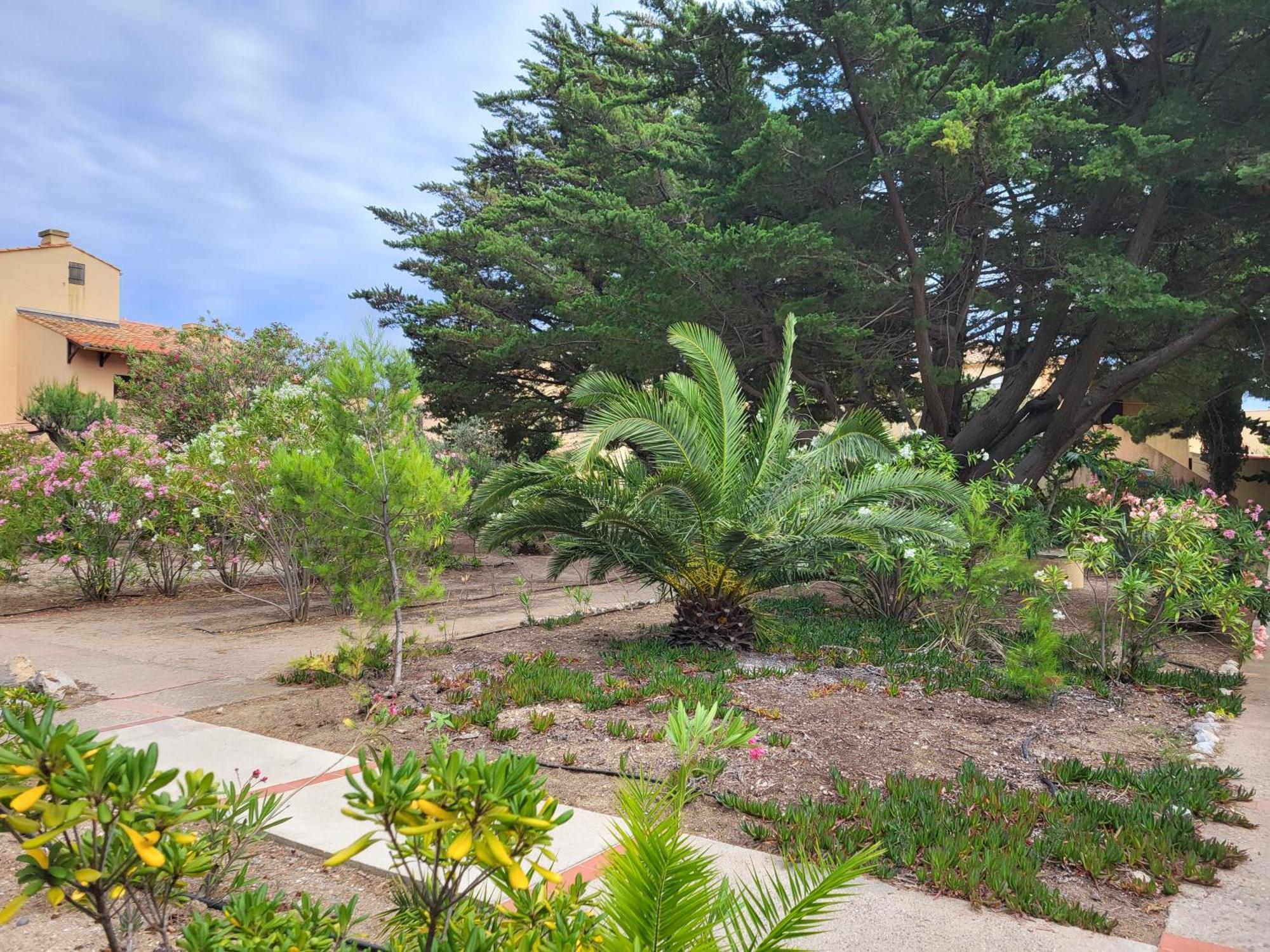 Appartement 6 pers au bord de la méditerranée Leucate Exterior foto
